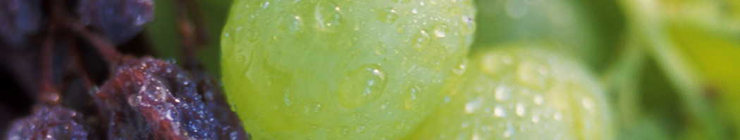 Who Will Be Assessed